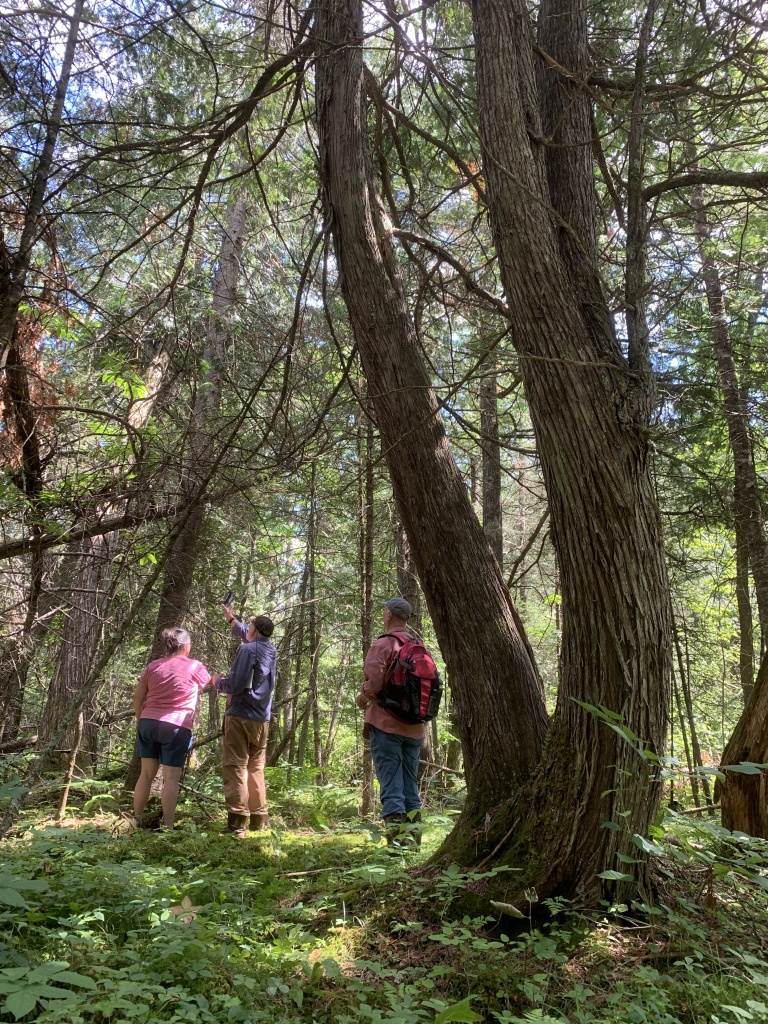 This image has an empty alt attribute; its file name is img_3890.jpg